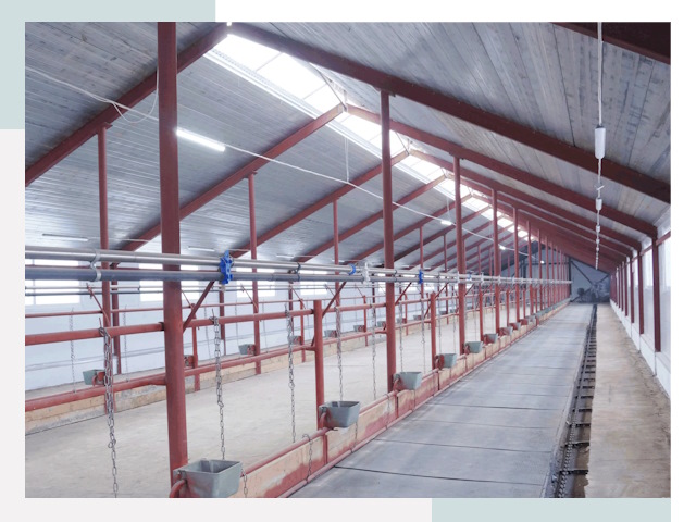 Строительство коровников в Сердобске от 607 руб.