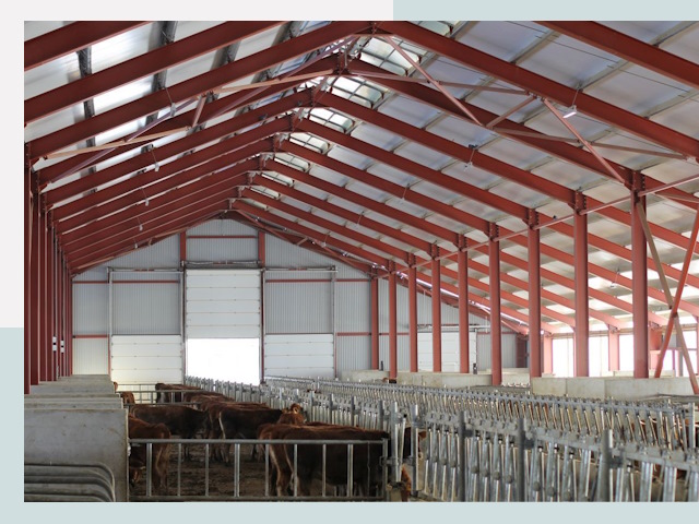 Строительство коровников в Сердобске