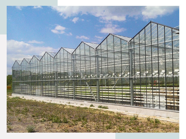 Строительство теплиц в Сердобск от 607 руб. за м²
