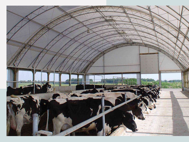 Тентовые коровники в Сердобске